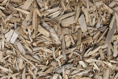 biomass boilers Strensall